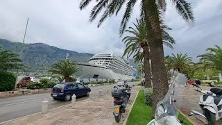 Round trip drive from Kotor to Budva, Montenegro 🇲🇪  Cruise Excursion 🛳