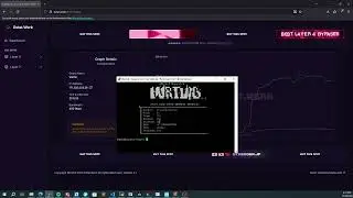 Hurt c2 botnet 1x dns 200 gigs showcase c2/api.rawExiled CNC