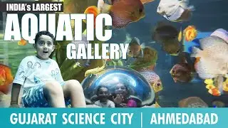 Aquatic Gallery | Gujarat Science City | Ahmedabad | India Jhanko
