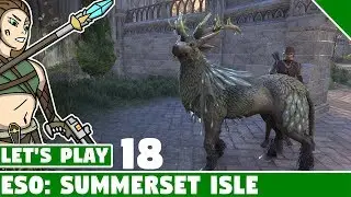 Summerset Zoo! #18 Let's Play Elder Scrolls Online Summerset Isle!
