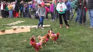 Chicken Race at Duntroon Hall