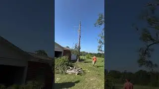 Practicing Tree work 😊like a lawyer 🔔we have a practice 🕵️
