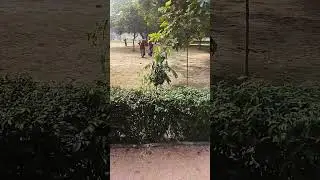 Begumpur park South Delhi