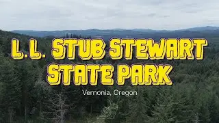 Hit My First Gap at LL Stub Stewart State Park! Mountain Bike POV