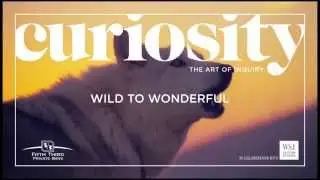 Curiosity Magazine: Wild to Wonderful