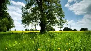 Prayer for removing difficulty