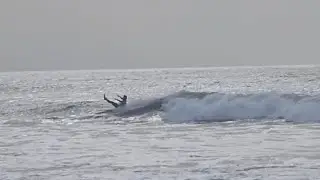 Vlog 356: December surf, Algarve