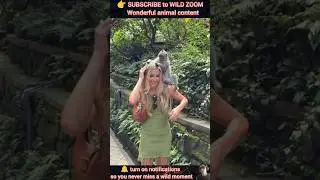 19 AMAZING Animal Clips You MUST See! ⚡ WILD ZOOM #animals #animalshorts  #animalclips