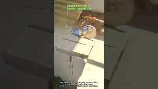 Expert Concrete Demolition in Action