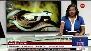 My Day With The Snake Man [PART 2]: Rafael Edapal a snake handler at the National Museums of Kenya