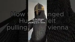 How the winged hussars felt pulling up to vienna #history #memes #armor