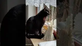Entspannung am Fenster 