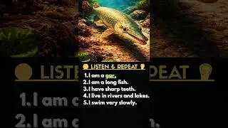 Listen and Repeat 🐟 | 5 Easy English Sentences about Gar Fish | English Shorts