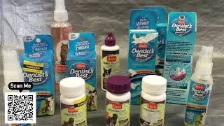 Hurricane Preparedness Pet Owners, 2024