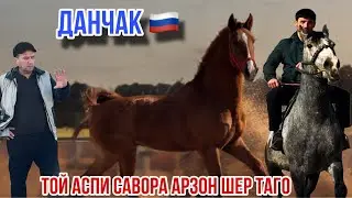 Той Данчак Аспи савора кизил арзон 3 февраля 2026 г.