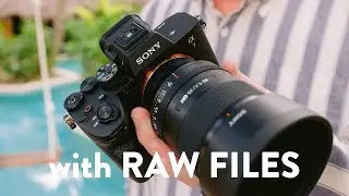 Sony a7 IV Review WITH RAW FILES