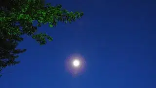 Our Bright White Moon Appears to have it's own moon - Jupiter!