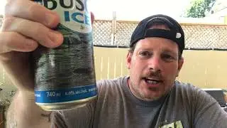 BUSCH ICE 6.0