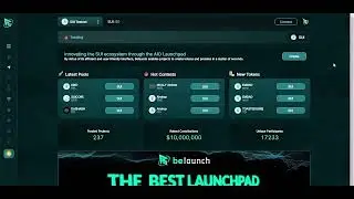 General information about the Belaunch project