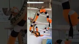 #snakevideo #beautifulsnake