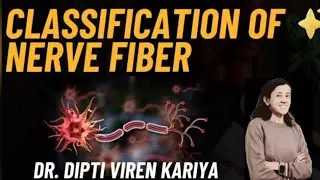 3. Classification of nerve fibres #physiology 