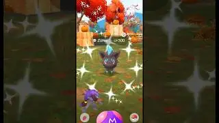 Getting Lucky With✨️Shiny Zorua in #pokemongo