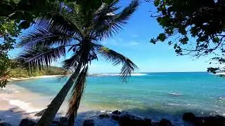 Papa'a Bay Walkabout 3 6 22