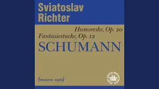 Fantasy Pieces, Op. 12: V. In the Night in F Minor
