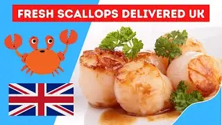 Scallops Delivered UK 🐟  Order Your Scallops For Quick UK Delivery