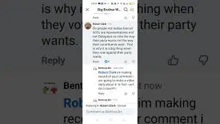 Response to Robert Clark on Representatives / Delegates and political parties + Whips