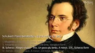 Schubert: Piano Sonata No. 16 in A minor, D. 845-Ⅲ. Scherzo. Allegro vivace-Trio. Un poco pi&ugrave; lento