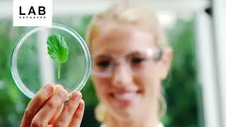 Minimize Your Laboratory&rsquo;s Environmental Impact