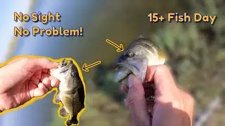Suburban Pond Bass Fishing - Bass Almost Every Cast + Blind Bass