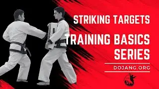 Striking Targets - Training Basics Series | Karate