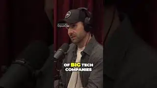Inside a Secret Casino: Unveiling the Surprising Research on Human Behavior | Joe Rogan Podcast
