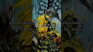 &iquest;Quienes son los Elfos Silvanos? #warhammer #warhammerfantasy #lore