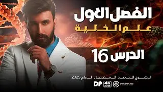 اساسيات الانقسام الخلوي || الفصل الاول السادس العلمي | (الدورة الالكترونية )