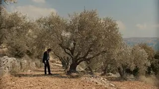 The Trees &ndash; trailer | IFFR 2021