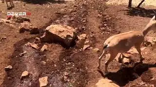سروشتێ دەڤەرا بارزان