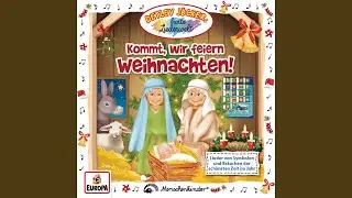 Ein Kerzenlicht am Tannenzweig