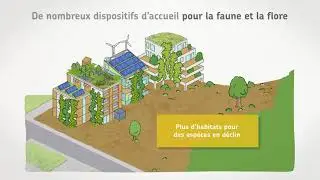 Bâtiment et biodiversité.  Et si l'on pensait les villes et les bâtiments comme des écosystèmes ?
