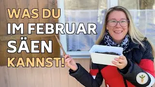 20 Gemüse im Februar aussäen – Starte JETZT deine Gartensaison 2026! 🍅🌻