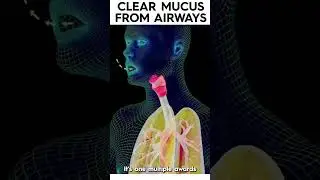 Clear Mucus From airways #airphysio #lungcapacity #exceptionalcare #breathing