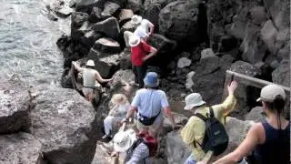 Galapagos Fitness Information - What to Expect