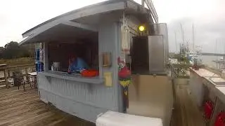 Stray cat charters hilton head
