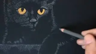 Painting drawing animals black cat in the dark with pastel for beginners step by step #绘画在黑暗中用蜡笔画黑猫#
