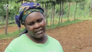11 Farmer Groups Benefit From Grants To Sustain Their Farming