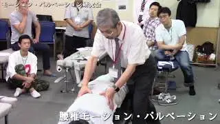 腰痛　検査　治療　腰椎モーション・パルペーション②