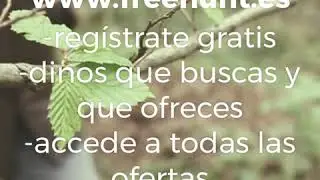 TRUEQUES DE CAZA
