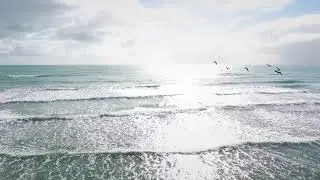 Ohope Beach by drone